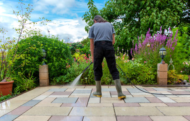 Best Animal Enclosure Cleaning  in Nicholls, GA